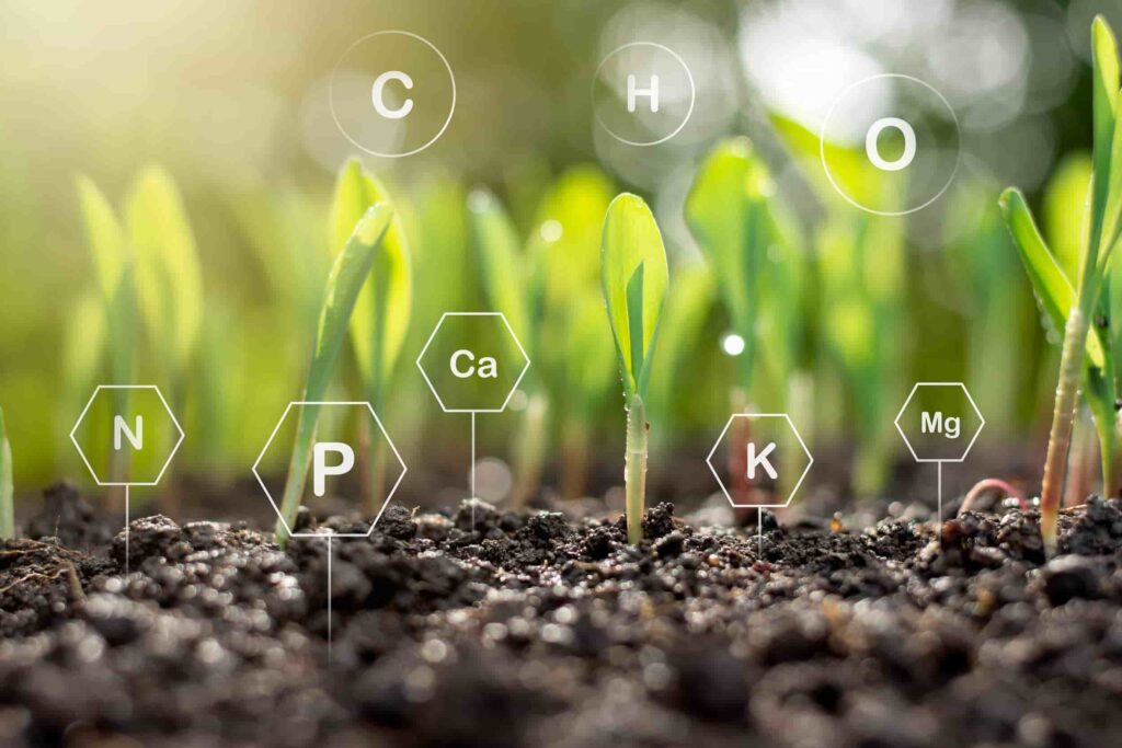 کاربرد های کربن فعال در کشاورزی- خرید کربن فعال- آژمان